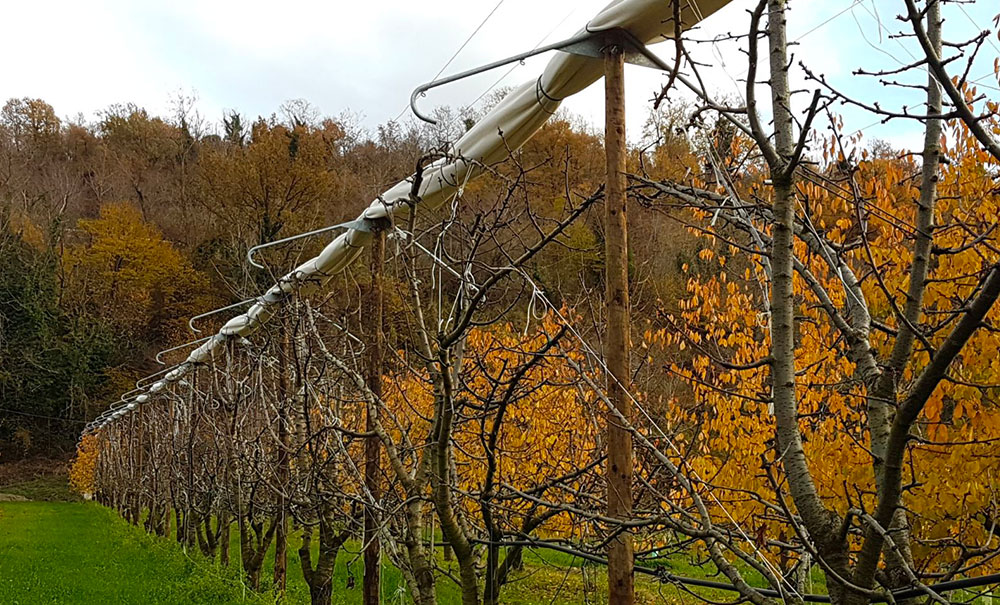 Braccetti a V antipioggia e antigrandine per copertura frutta